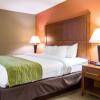Отель Comfort Inn & Suites Airport Convention Center, фото 3