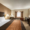 Отель Comfort Inn, фото 3