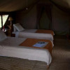 Отель Ngamba Island Tented Camp, фото 8