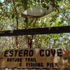 Отель Estero Cove # 523 - 6895 Estero Blvd by Coastal Vacation Properties, фото 14