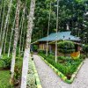 Отель Aranya Jungle Resort, фото 22