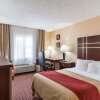 Отель Comfort Inn near Grand Central Mall, фото 3