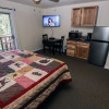 Отель Fawn Valley Inn: 293 1 Bedroom Condo, фото 5