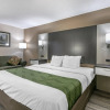 Отель Quality Inn Rogersville, фото 5