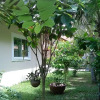 Отель Lovely House Near Chalong Pier With Access to Large Swimming Pool Shop Centre, фото 22