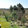 Отель Vintage Holiday Home in Silkeborg in a Natural Area, фото 1