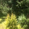 Отель Tree Island Bed and Breakfast на Острове Денман