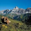 Отель Chalet Montafon in Gaschurn With Sauna, фото 4