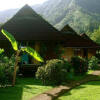 Отель Tauhanihani Village Lodge La Vague Bleue, фото 3