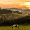 Отель Gasthof Walhalja, фото 1