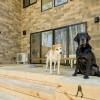 Отель Rakuten STAY VILLA FujiKawaguchiko Forest, фото 16