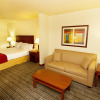 Отель Holiday Inn Express and Suites Turlock, an IHG Hotel, фото 6