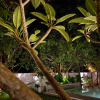 Отель Mangifera Villa with Private Pool, фото 1