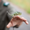 Отель Sefapane Lodges and Safaris, фото 38