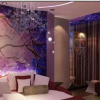 Отель Thank Inn Chain Hotel Anhui Anqing Congyang Hubin Road, фото 2