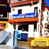 Отель Dalhousie Grand, фото 11