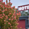 Отель Edenhope Motor inn, фото 1