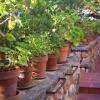 Отель Finca Carreró de Son Gall, фото 8