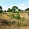 Отель B&B Bosheide, фото 5