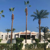 Отель Villa with Sea View at Sheraton Sharm Hotel, Resort, Villas & Spa- Private Residence, фото 31