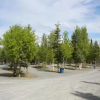 Отель Tok RV Village & Cabins, фото 2