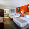 Отель Travelodge by Wyndham Houston Hobby Airport, фото 9