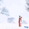Отель Wusong Island Songjuyuan Country House, фото 11