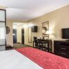 Отель Comfort Suites Kingsport, фото 11