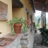 Отель El Rincón De Los Cerezos, фото 6