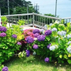 Отель Geoje Peaceful Pension, фото 17