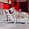 Отель Linda Casa em Ubatuba, Itaguá, SP (Pet Friendly), фото 23
