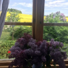 Отель Gården mellan Slotten, фото 30
