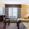 Отель Comfort Inn & Suites, фото 4