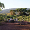 Отель Crater Forest Tented Camp, фото 5