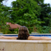 Отель Sleeping Giant Rainforest Lodge, фото 13