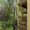Отель Cozy Retreat at the Kingswood Village, фото 1