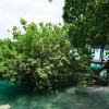 Отель Laguna Secreta Bacalar, фото 12