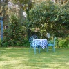 Отель B&B La Chrysalide, фото 10