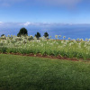 Отель Quinta Inácia by Our Madeira, фото 26