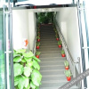Отель Tianhe Daoyi Express Hotel, фото 2