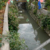 Отель Fuxinglou Guesthouse, фото 13