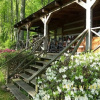 Отель Busbee Cabin - 3 Br Cabin, фото 11