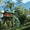 Отель Treehouse With Wi-Fi In Munnar, By Guesthouser 10760, фото 11