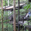 Отель Yatama Ecolodge Sarapiqui, фото 22