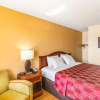 Отель Econo Lodge, фото 4
