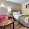 Отель Econo Lodge Battleboro - Rocky Mount I-95, фото 31