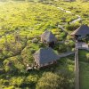 Отель Little Okavango Camp Serengeti, фото 2