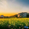 Отель Wuyuan waiting for your homestay, фото 3