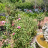 Отель Rosewood Guesthouse, фото 36