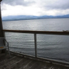 Отель Orca Lodge, фото 16